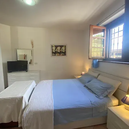 Guest house Rosa 3*